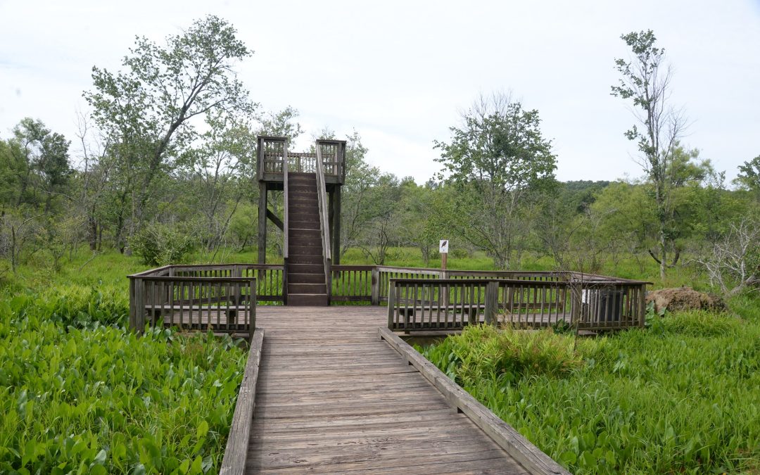 Enjoy the Outdoors at These Buford Parks