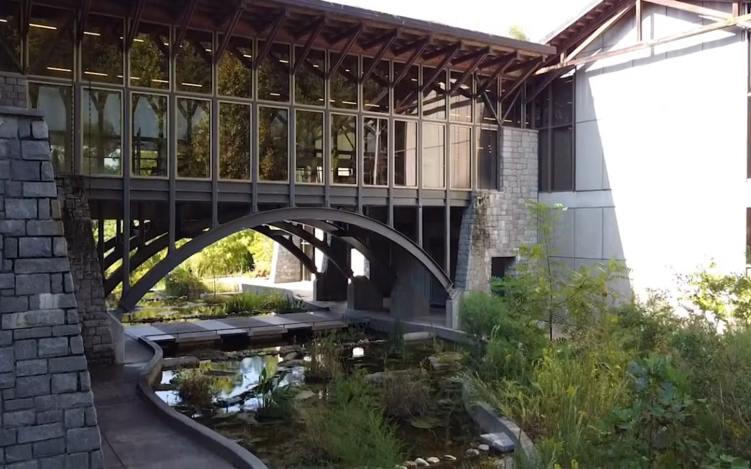 Exploring Nature’s Wonders at the Gwinnett Environmental Heritage Center