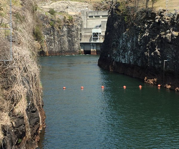 Explore the Majestic Vistas of Buford Dam Park in Georgia