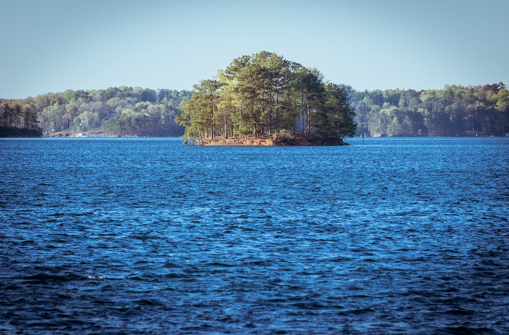 Uncover the Charms of Buford, Georgia