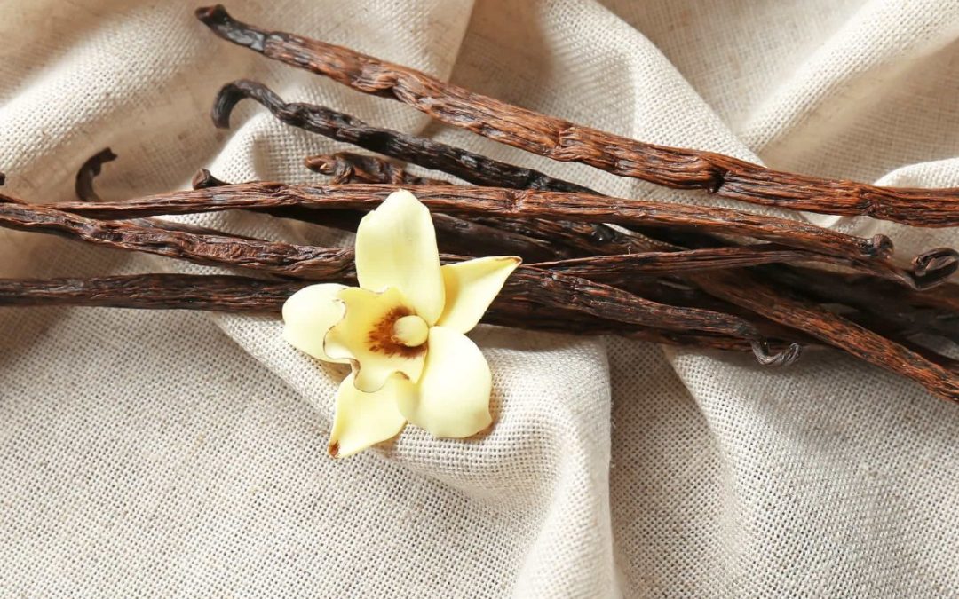 Unveiling the Mysteries of Vanilla Extract Making in Buford, Georgia