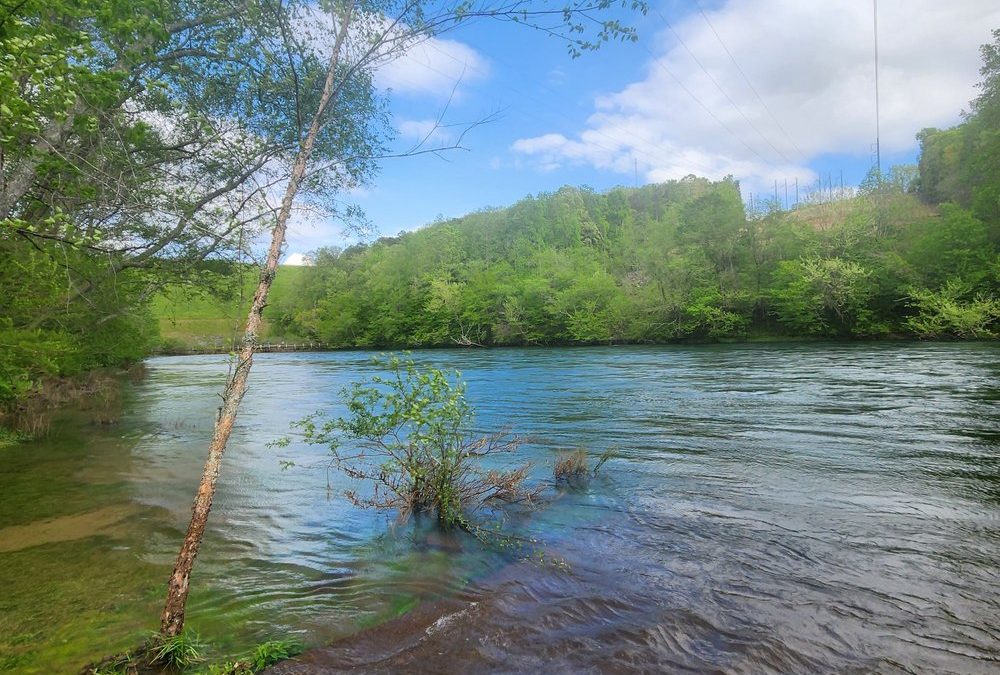 Explore the Hidden Gem of Buford Dam Park