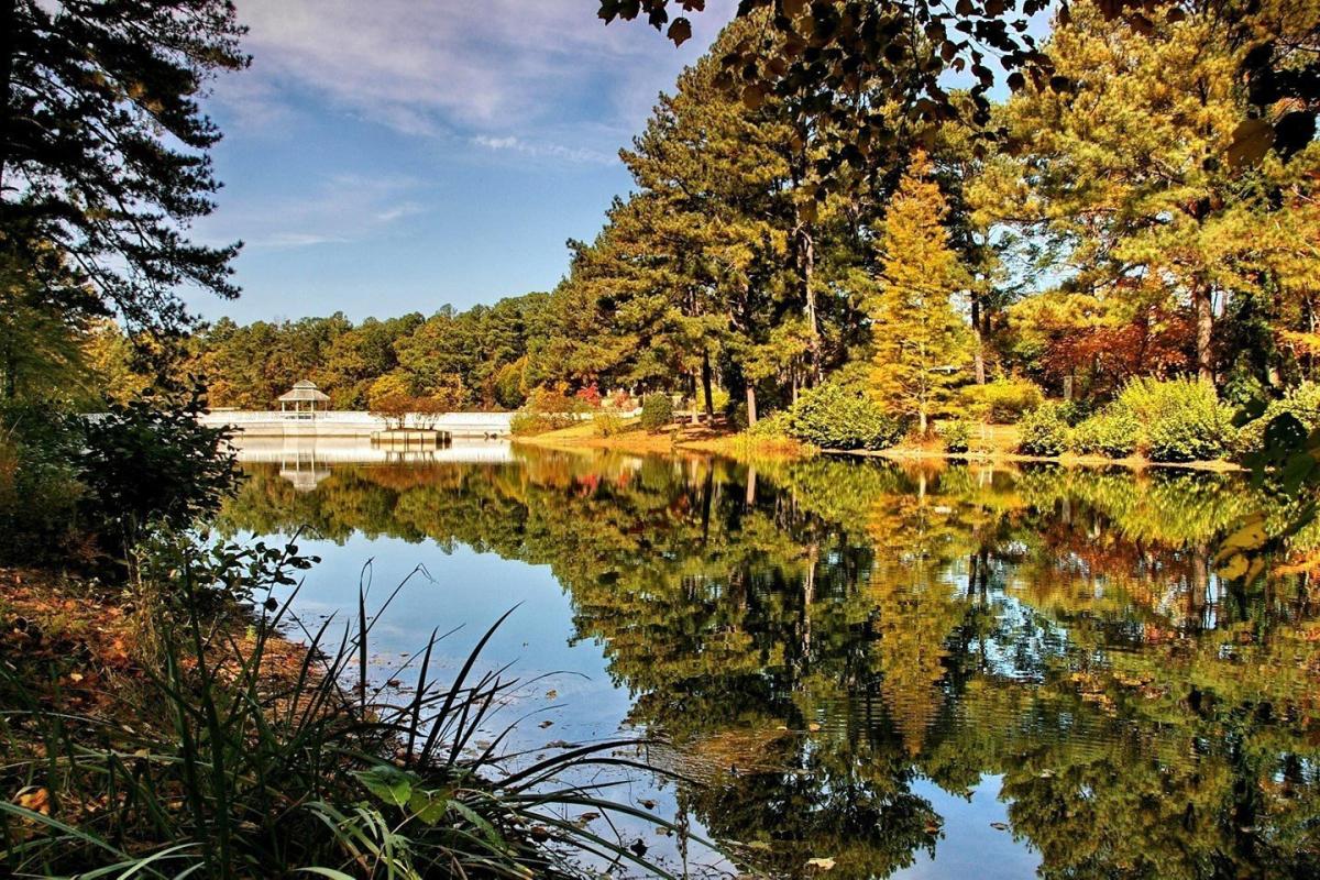 Capture the magic of your engagement across Gwinnett's most picturesque spots.